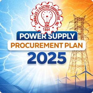 ZAMECO II Procurement Plan 2025